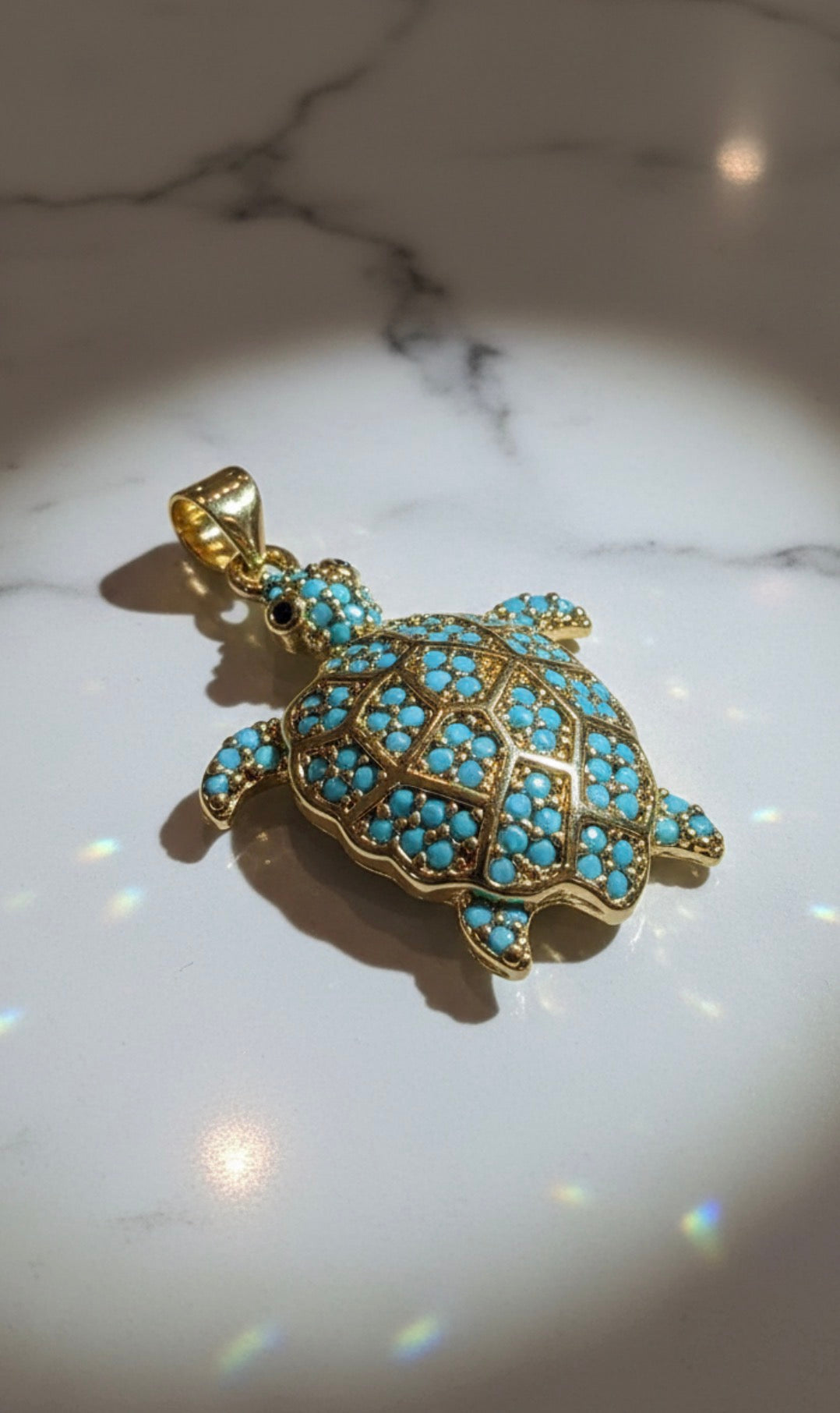 Tortuga Celeste